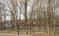 Beeld 11, klik om te vergroten