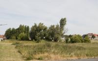 Beeld 6, klik om te vergroten