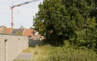 Beeld 14, klik om te vergroten