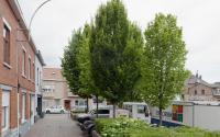 Beeld 14, klik om te vergroten