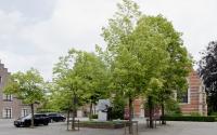 Beeld 27, klik om te vergroten