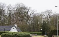 Beeld 31, klik om te vergroten