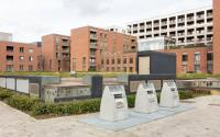 Beeld 5, klik om te vergroten