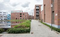 Beeld 9, klik om te vergroten