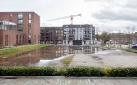 Beeld 12, klik om te vergroten