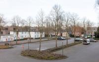Beeld 25, klik om te vergroten