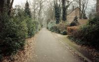 Beeld 3, klik om te vergroten