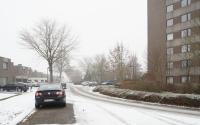 Beeld 5, klik om te vergroten