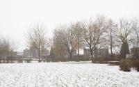 Beeld 7, klik om te vergroten