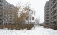 Beeld 8, klik om te vergroten