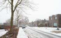 Beeld 9, klik om te vergroten