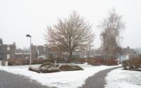 Beeld 10, klik om te vergroten