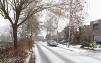 Beeld 11, klik om te vergroten