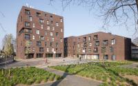 Beeld 12, klik om te vergroten
