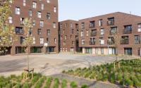 Beeld 15, klik om te vergroten