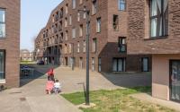 Beeld 18, klik om te vergroten