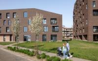 Beeld 6, klik om te vergroten