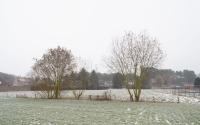 Beeld 11, klik om te vergroten