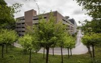 Beeld 7, klik om te vergroten