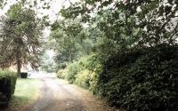 Beeld 2, klik om te vergroten