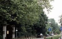 Beeld 4, klik om te vergroten