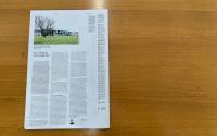 Beeld 10, klik om te vergroten