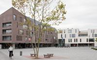 Beeld 12, klik om te vergroten