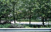 Beeld 3, klik om te vergroten
