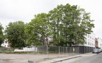 Beeld 24, klik om te vergroten