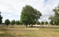 Beeld 7, klik om te vergroten