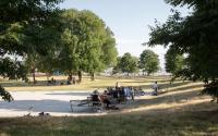 Beeld 9, klik om te vergroten