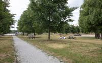 Beeld 11, klik om te vergroten