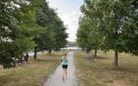 Beeld 12, klik om te vergroten