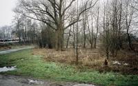 Beeld 3, klik om te vergroten