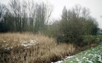 Beeld 4, klik om te vergroten
