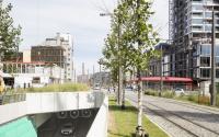 Beeld 10, klik om te vergroten
