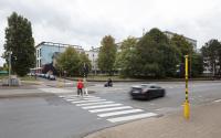 Beeld 12, klik om te vergroten