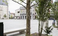 Beeld 19, klik om te vergroten