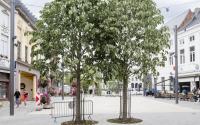 Beeld 20, klik om te vergroten