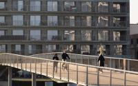 Beeld 10, klik om te vergroten