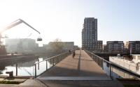 Beeld 12, klik om te vergroten