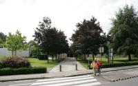 Beeld 5, klik om te vergroten
