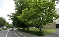 Beeld 13, klik om te vergroten