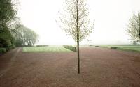 Beeld 3, klik om te vergroten