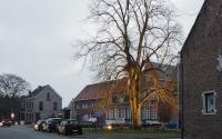 Beeld 4, klik om te vergroten