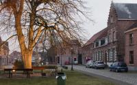 Beeld 6, klik om te vergroten