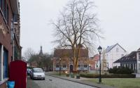 Beeld 15, klik om te vergroten