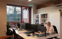 Beeld 26, klik om te vergroten