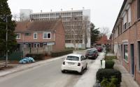Beeld 14, klik om te vergroten