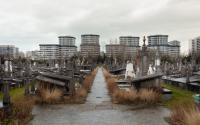 Beeld 13, klik om te vergroten